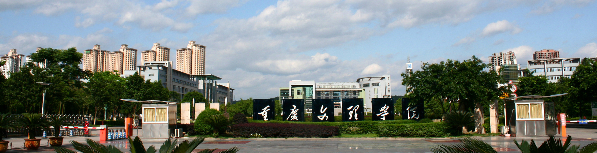 LTtn_1688368201136051722.jpg